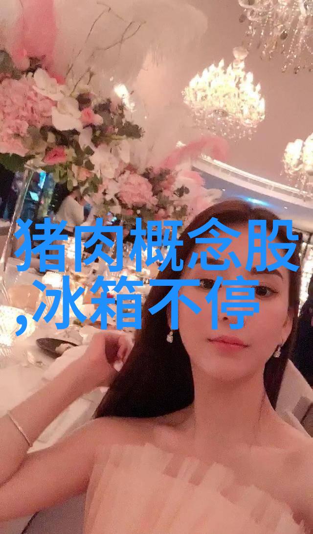 西门子两门冰箱 京东返100元电子京券